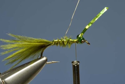 Flashback Damsel Nymph Flashback Damsel Nymph