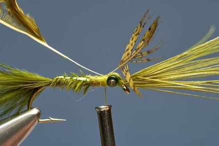 Flashback Damsel Nymph Flashback Damsel Nymph
