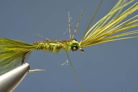 Flashback Damsel Nymph Flashback Damsel Nymph