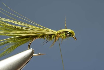 Flashback Damsel Nymph Flashback Damsel Nymph