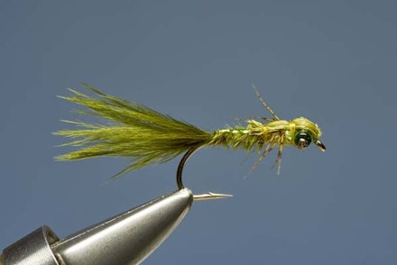 Flashback Damsel Nymph Flashback Damsel Nymph