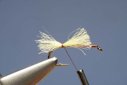 Elk Hair Sedge Elk Hair Sedge