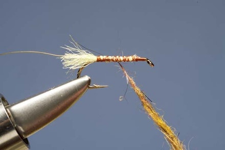 Elk Hair Sedge Elk Hair Sedge