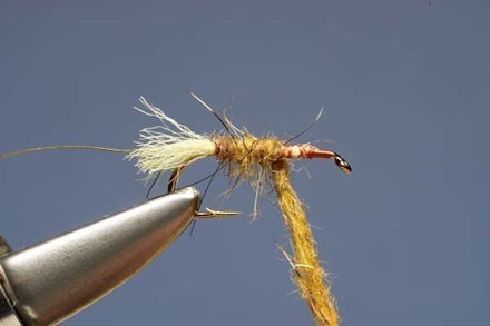 Elk Hair Sedge Elk Hair Sedge