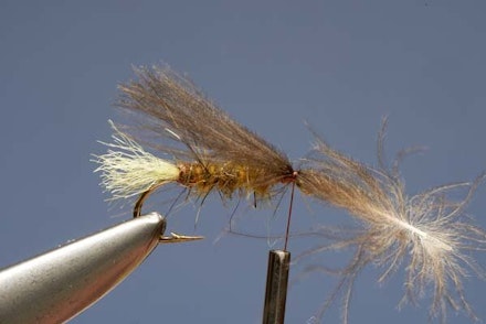 Elk Hair Sedge Elk Hair Sedge
