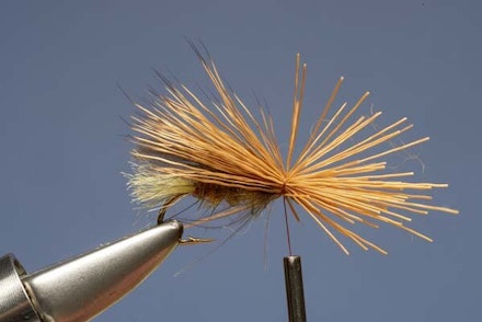 Elk Hair Sedge Elk Hair Sedge
