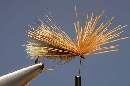Elk Hair Sedge Elk Hair Sedge