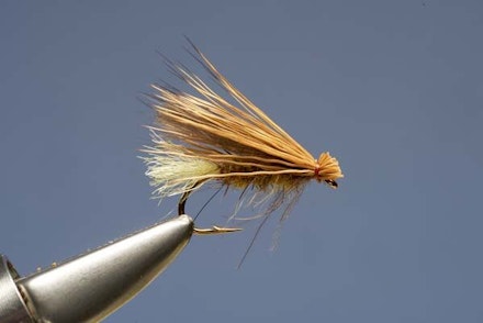Elk Hair Sedge Elk Hair Sedge