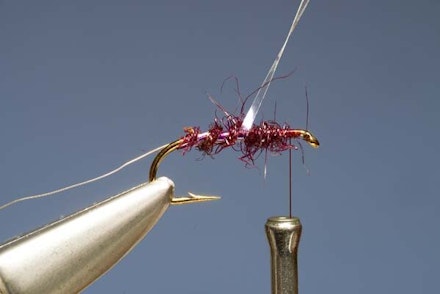 The Claret Hopper The Claret Hopper