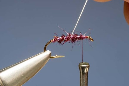 The Claret Hopper The Claret Hopper