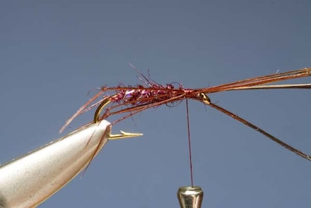 The Claret Hopper The Claret Hopper