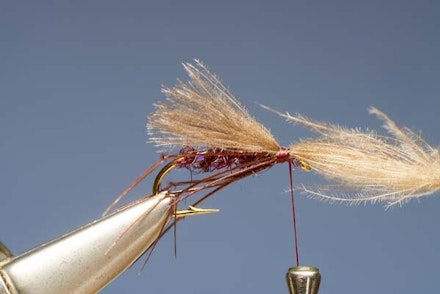 The Claret Hopper The Claret Hopper