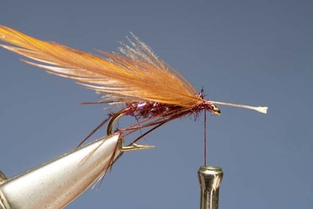 The Claret Hopper The Claret Hopper