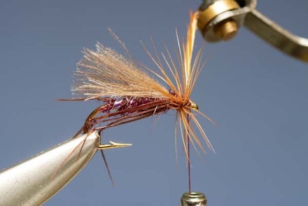 The Claret Hopper The Claret Hopper