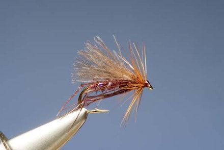 The Claret Hopper The Claret Hopper