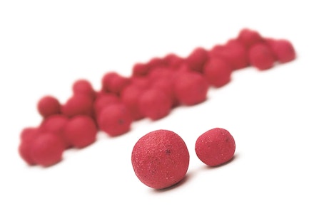 Large or small? It's often a case of doing something different to everyone else. Large or small? It's often a case of doing something different to everyone else.