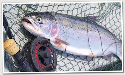 Trout fishing at the right depths Trout fishing at the right depths