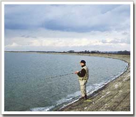 Reservoir Trout feeding patterns Reservoir Trout feeding patterns