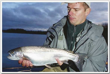 Reservoir Trout feeding patterns Reservoir Trout feeding patterns