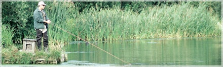 Small Trout Stillwaters Small Trout Stillwaters