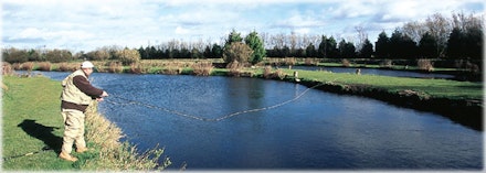 Small Trout Stillwaters Small Trout Stillwaters