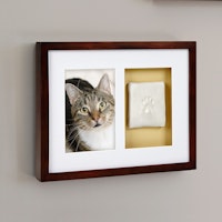 Pearhead Dog Or Cat Paw Prints Wall Frame