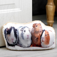 Guinea Pigs Lovers Door Stop