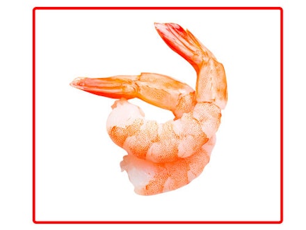 prawns prawns