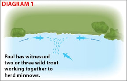 Autumn fly fishing Autumn fly fishing