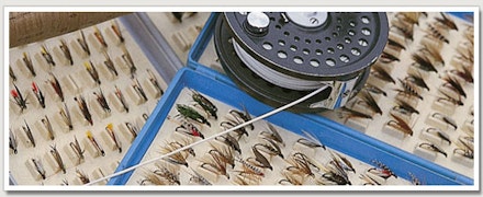 fish wet flies in the surface area fish wet flies in the surface area