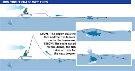 fish wet flies in the surface area fish wet flies in the surface area