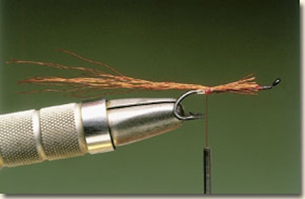 Ally's shrimp salmon fly Ally's shrimp salmon fly