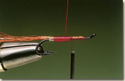 Ally's shrimp salmon fly Ally's shrimp salmon fly