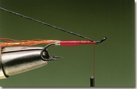 Ally's shrimp salmon fly Ally's shrimp salmon fly