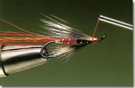 Ally's shrimp salmon fly Ally's shrimp salmon fly