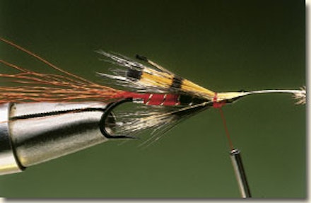 Ally's shrimp salmon fly Ally's shrimp salmon fly