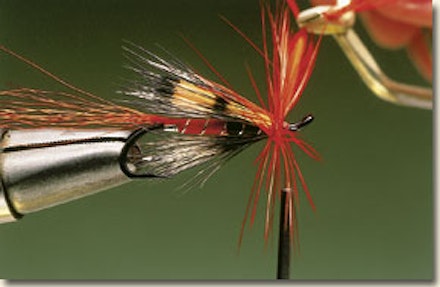 Ally's shrimp salmon fly Ally's shrimp salmon fly