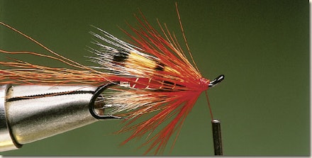 Ally's shrimp salmon fly Ally's shrimp salmon fly