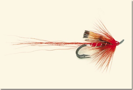 Ally's shrimp salmon fly Ally's shrimp salmon fly