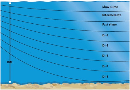 Sinking line to find the feeding zone Sinking line to find the feeding zone