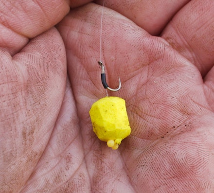 HOW TO USE POPPED-UP BAITS HOW TO USE POPPED-UP BAITS