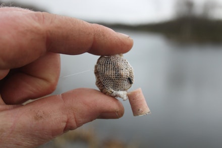HOW TO USE POPPED-UP BAITS HOW TO USE POPPED-UP BAITS