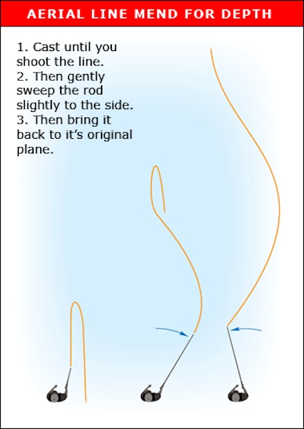 guide to sedges guide to sedges