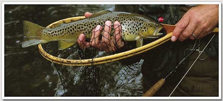 River fishing River fishing