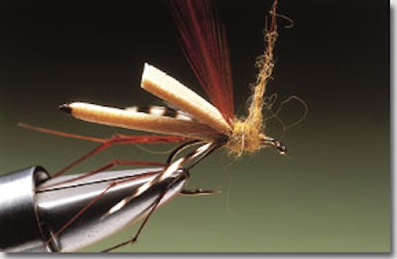 Daddy longlegs stillwater fly Daddy longlegs stillwater fly