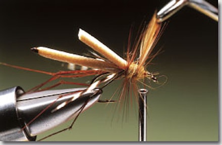 Daddy longlegs stillwater fly Daddy longlegs stillwater fly