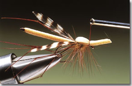 Daddy longlegs stillwater fly Daddy longlegs stillwater fly