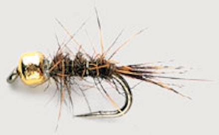 Trout from small rivers Trout from small rivers