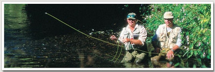 Trout from small rivers Trout from small rivers