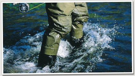 Trout from small rivers Trout from small rivers